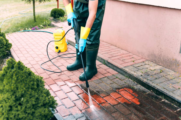 Animal Enclosure Cleaning in Burnettown, SC